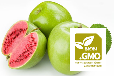 NON-GMO/GMO Free GDO İçermez Belgesi