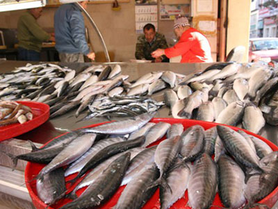 Qualitätszertifikat für Fischerei