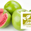 NON-GMO / GMO Gratis GGO-vrije certificering