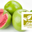 GMO / GMO Free GMO Free Certification